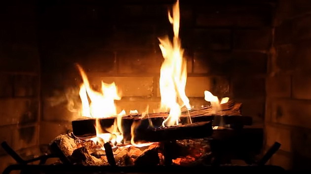 Wood is a great natural resource available on the planet