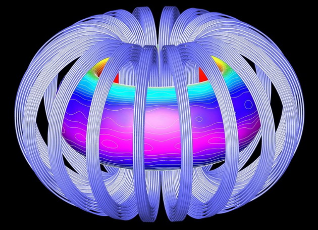doughnut shaped Tokamak reactor