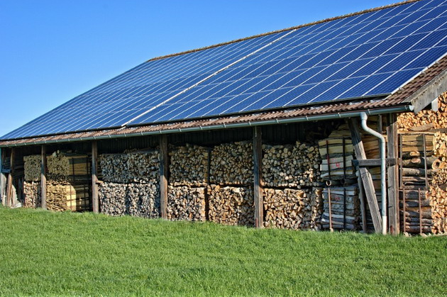The UK solar family
