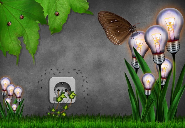 Save money by saving the environment