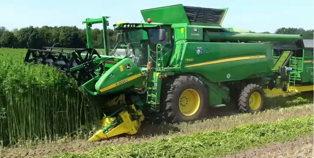 Harvesting hemp
