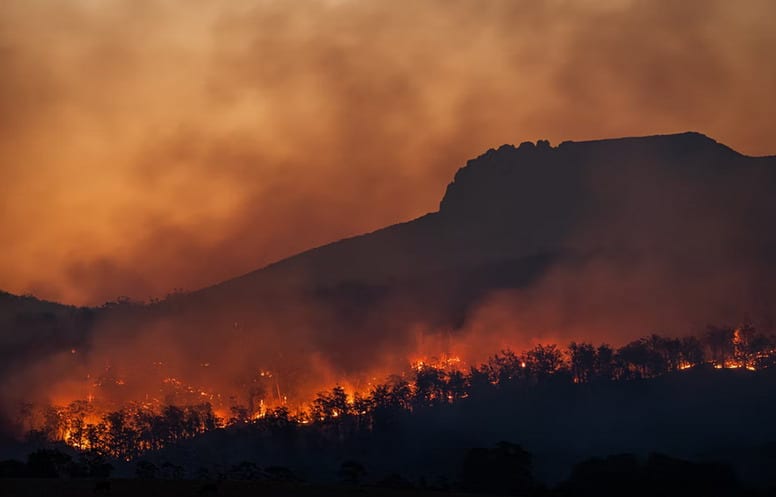 The environment suffers due to air and plastic pollution