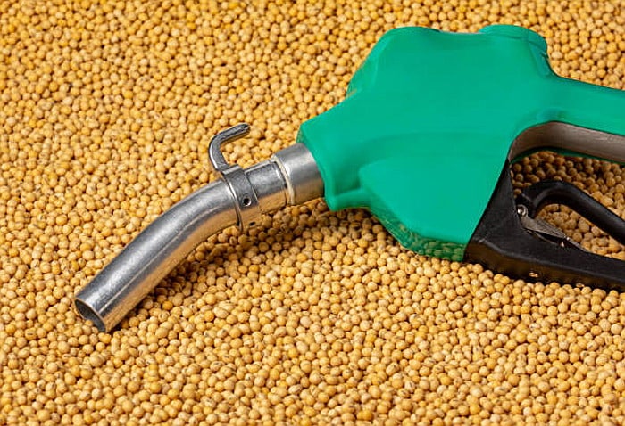 Biodiesel vs diesel
